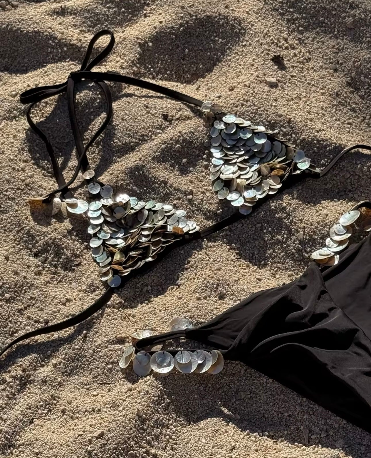 Shell Embellished Black Bikini